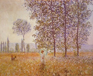 Peupliers au soleil